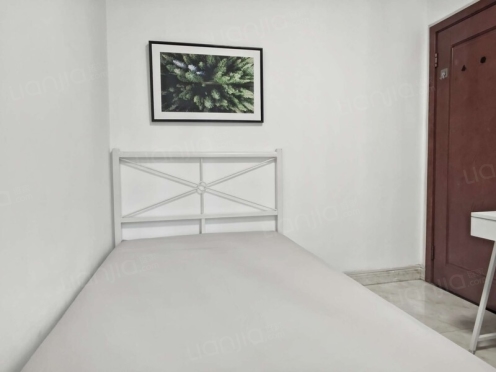 合租·金牛万达C组团 4居室 西卧