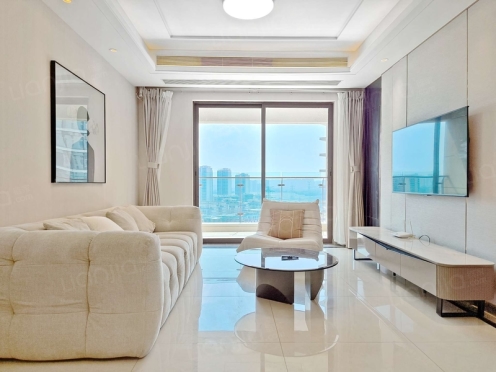 整租·花样年家天下 3室1厅 北