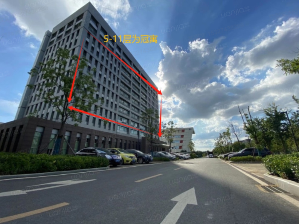 武汉软件新城店