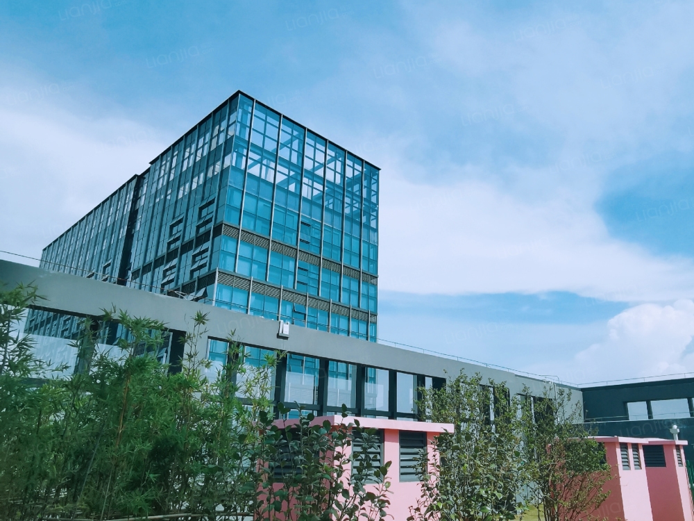 武汉光谷五路新壹城店