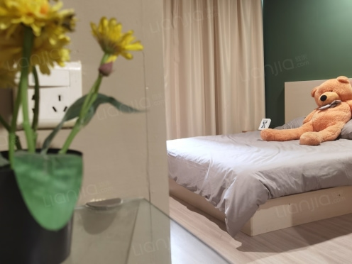 独栋·青巢公寓 枫桥路店 高级舒适大床房 1室1厅