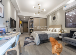 独栋·中海友里公寓 萌宠社区 7天起/网易阿里宝藏高档公寓/交个朋友雪梨宸帆园区/聚才路地铁700米/一居室 开间_中海云之宸府租房