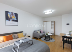 独栋·城家公寓 城家公寓镇江大港新区店 民用水电！可养宠物！可开票！ 1室1厅_凤栖佳苑租房