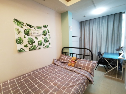 合租·东顺城南街57号 5居室 南卧