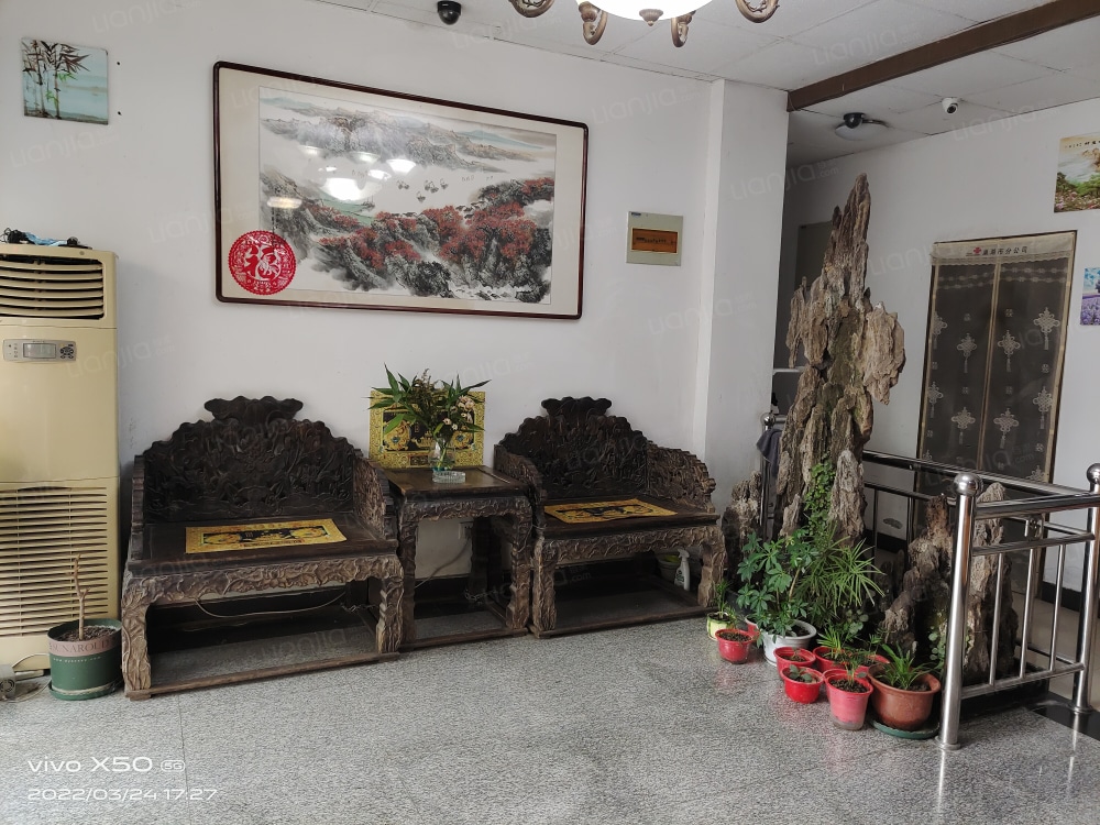 戴安桥路店
