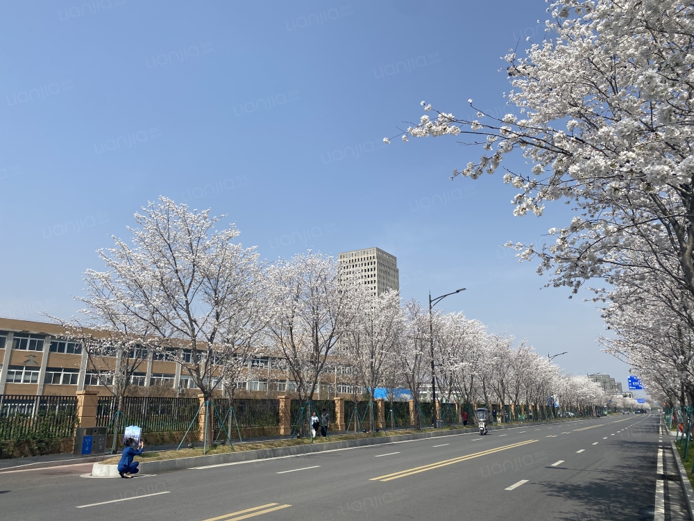 中科创新广场一店