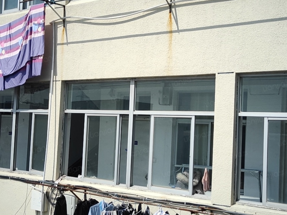 新庄路店