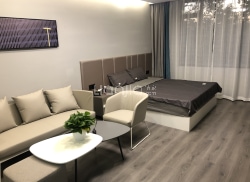 独栋·露美家花园精品公寓 金桥店 经典一居室 1室1厅_唐陆路568弄1-20号租房