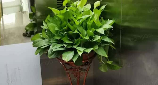 南海里水邓岗店