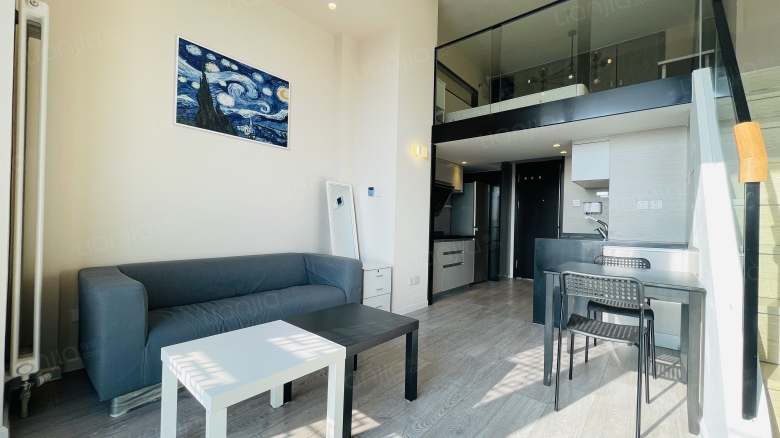 整租·新光大中心 1室1厅 loft 南