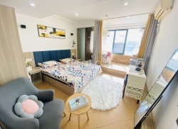 独栋·蜜租公寓 福州路店 福州路通透采光开间 1室1厅_南京西路219号租房