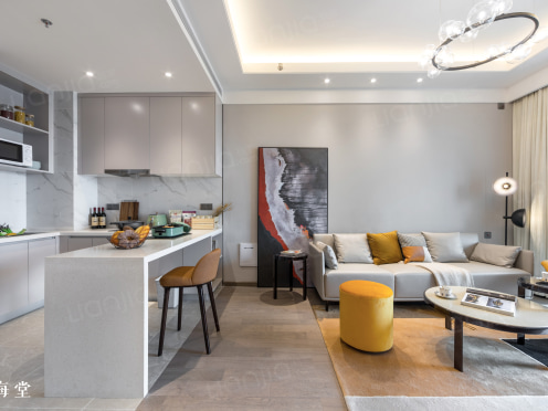 独栋·中海海堂 苏州奥体店 湖东奥体工业园区 靠近纳米城 2.5产业园区书房套房 央企管理无中介费 2室1厅