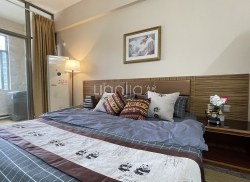 独栋·居+公寓 平乐上村 电梯房大单间，近万达华都汇，银隆等地方 1室1厅_平乐上村垭田村租房