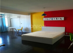 独栋·烟台蜗牛公寓 南港店 整租A 1室1厅_澳柯玛小区租房