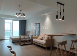 独栋·东南青年汇 银龙店 50平阳台房/长租八折优惠 1室1厅_银龙翠苑租房