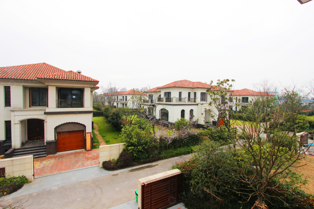 新虹桥首府(别墅)相册