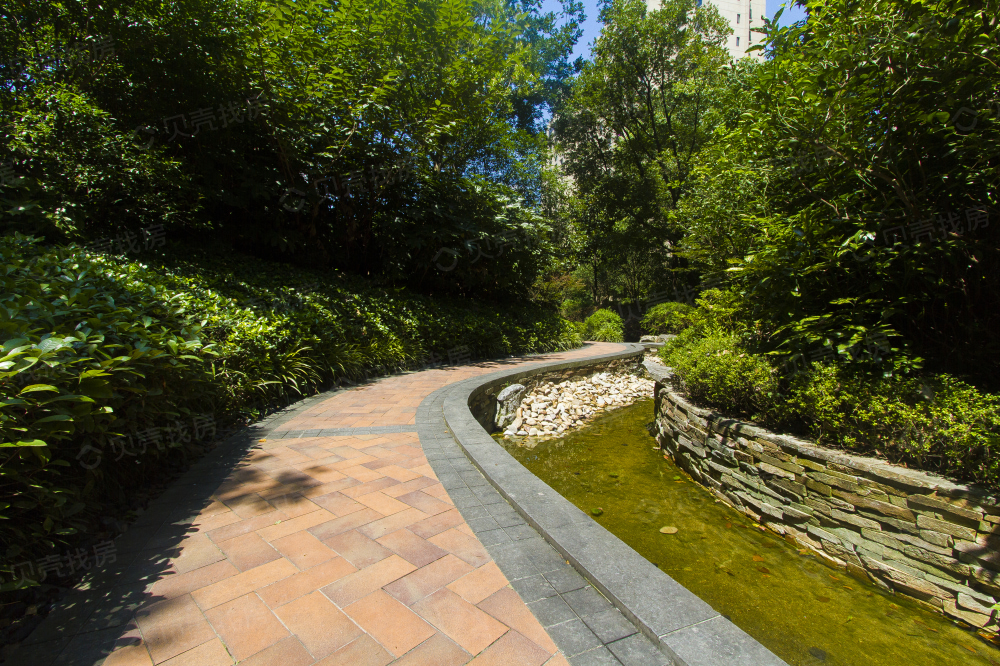 紫竹半岛花园相册