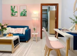 独栋·尚派公寓 鼎盛店 尚派公寓A栋一室一厅 1室1厅_人民大道中5号租房