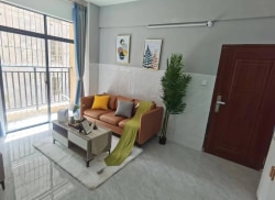 独栋·尚派公寓 鼎盛店 鼎盛旁边电梯一房一厅 1室1厅_人民大道中5号租房