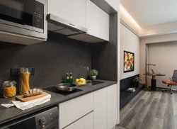 独栋·盛捷服务公寓 重庆盛捷茶园服务公寓 国际品牌行政单房、国际品牌家电、拎包入住、近地铁站、24小时安保服务 开间_桐福路61号租房