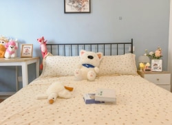 合租·宝龙城市广场龙邸 5居室 南卧_宝龙城市广场龙邸租房