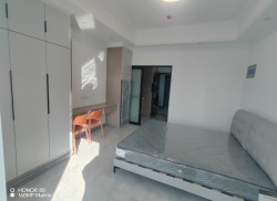 独栋·多宝公寓 涌鑫一店 汽车东站隔壁，地铁口精装一室房，紧临大有镜，荷兰街 1室1厅_涌鑫八达通广场租房