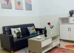 独栋·居+公寓 百姓路46号店 百姓一房一厅，近大路，家具家电齐全，随时可以入住 1室1厅_百姓路46号租房