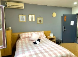 独栋·泊寓 胜利大街店二期 【限时特惠】限时折扣9折抢!!!1 开间_胜利大街1221号租房