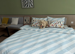 独栋·城发成家 汉峪金谷店 整租一室一卫，月付带飘窗，无中介费，民水民电 1室1厅_云成中心租房