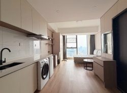 独栋·乐漾公寓 奥体中心店 【签约即有好礼】家电齐全 拎包入住 超绝景观落地窗 免费健身房 开间_中铁·卓越中心租房