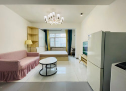 独栋·久拾知寓 久拾知寓高新店 可月付 可免押金 五里铺 瑞德摩尔 张苏滩整租一室一厅 1室1厅_金河小区租房