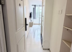 独栋·南城公寓 张江店 阳光LOFT,免水网，押一付一 1室1厅_魔方公寓张江店租房