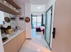 独栋·苏享家公寓 独墅湖公寓 七天无理由退房 无中介费 可短租 24h安保人脸识别 开间_国泰新村一村/二村租房