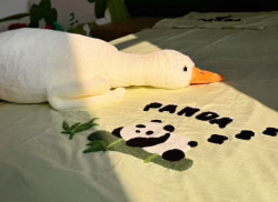 独栋·港寓公寓 光谷金融港店 2号线金融港，打工人品质首选，可月付可开票 1室1厅_关南园一路19号租房