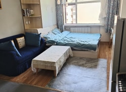 独栋·平台合作机构 金河小区店 张苏滩铁站口/温馨一居室/多路公交出行方便/可免押 1室1厅_金河小区租房