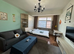 独栋·平台合作机构 金河小区店 张苏滩 整租一居室/双地铁口/可短租 1室1厅_金河小区租房