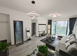 独栋·安选客 财富中心店 805  地铁口 零虚假房源 無中介费 免押金可月付短租 不搞任何套路 1室1厅_财富中心国际公寓C区租房