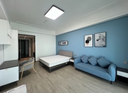 独栋·松寓 专家公寓 豪华装修一居室55平，近大湾区大学/理工，两层地下车库，可短租月付，家电齐全，干湿分离，短租押一付一 开间_创新广场租房