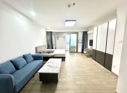 独栋·松寓 专家公寓 松寓湖景西向单间，早鸟8.8折！近佳纷天地/欧洲小镇，24小时安保+地下车库，可短租押一付一 开间_创新广场租房