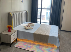 独栋·品牌·公寓 海豚酒店式公寓 酒店式公寓精装拎包入住30户型 1室1厅_港信大厦租房