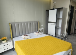 独栋·品牌·公寓 海豚酒店式公寓 酒店式公寓全景落地窗环境好精装拎包入住押一付一 开间_港信大厦租房