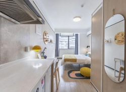 独栋·龙湖冠寓 苏州东吴天街店 吴中CBD 天街优质商圈一步之遥 近地铁2/4号线双地铁 开间_东吴南路179号租房