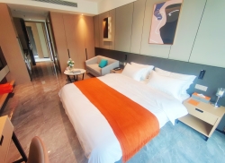 独栋·诗莱德酒店公寓 诗莱德行政公寓 干净舒适 阳光一居室 开间_工业南路14号租房