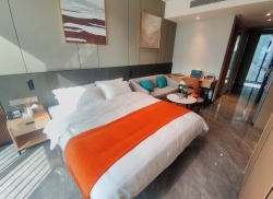 独栋·诗莱德酒店公寓 诗莱德行政公寓 园景行政大床房  拎包入住 1室1厅_工业南路14号租房