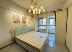 独栋·彩妆公寓·民宅租赁 沈辽路万达广场公寓D座 可月付！免中介费万达公寓地铁楼上长短租都可以家电全能做饭 1室1厅_万达广场公寓租房