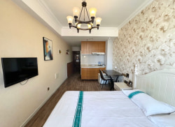 独栋·彩妆公寓·民宅租赁 茂业公寓 可月付！艺术精装可长短租免中介费万达地铁电梯空调家电全 开间_铁西茂业公寓租房