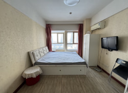 独栋·彩妆公寓·民宅租赁 沈辽路万达广场公寓D座 可月付可长短租免中介费沈辽路万达地铁滑翔盛京医院电梯空调 1室1厅_万达广场公寓租房