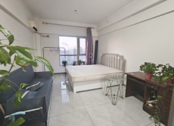 独栋·彩妆公寓·民宅租赁 金昊大厦 52平可月付可长短租免中介费兴工北二沈阳站西广场空调能做饭 1室1厅_金昊大厦租房