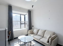 独栋·安欣悦居 万象城商圈店 临近万象城一室一厅，家电齐全 1室1厅_华锦小区租房