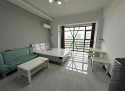 独栋·厢寓公寓 领海公寓店 可短租。高铁东站附近整租公寓出租  ，拎包入住可以月付， 开间_绿地缤纷城绿地之窗公寓租房